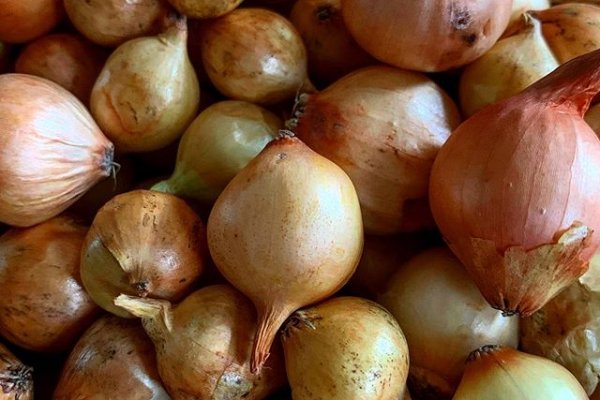 Сайты по продаже наркотиков