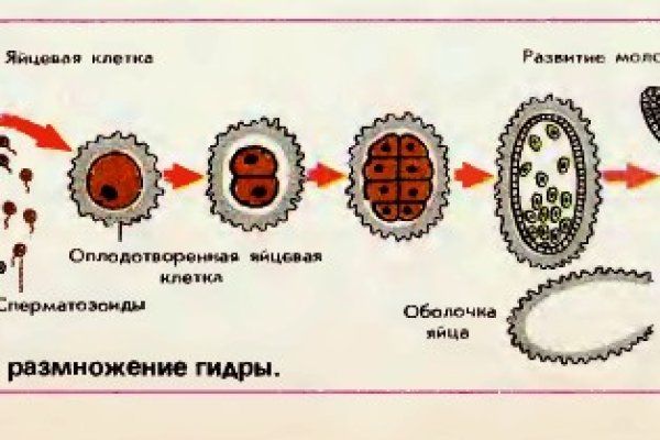 Кракен почему пользователь не найден