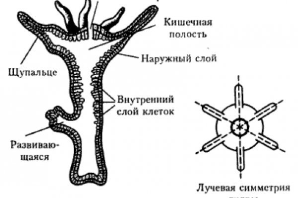 Кракен перейти