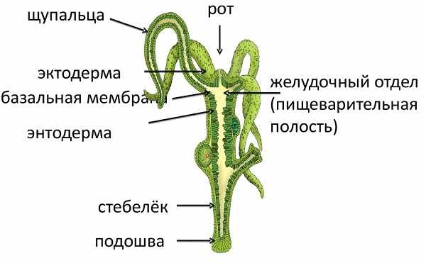 Кракен почему не заходит